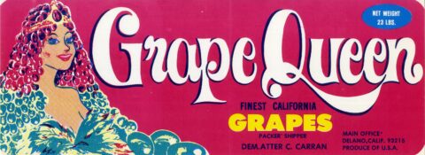 Grape Queen